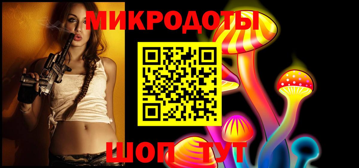 Псилоцибиновые грибы Psilocybine cubensis Камень-на-Оби