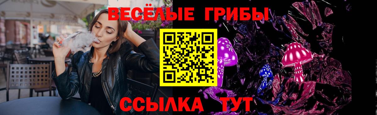 Камень-на-Оби  Галлюциногенные грибы GOLDEN TEACHER  Вход с VPN  Галлюциногенные грибы мицелий 